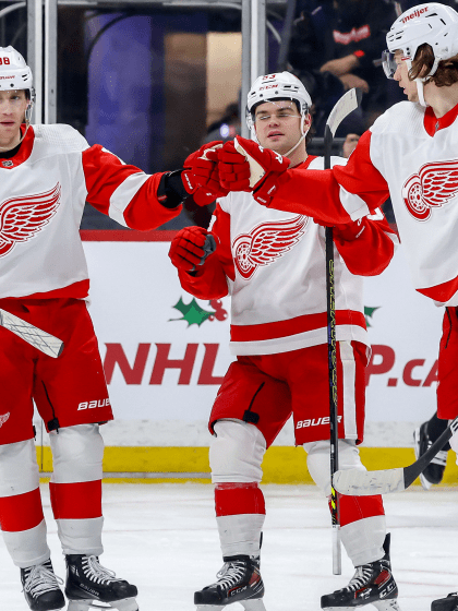 多樣化的比 多樣化的比